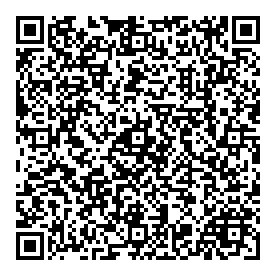 ADEEL-MD QR CODE